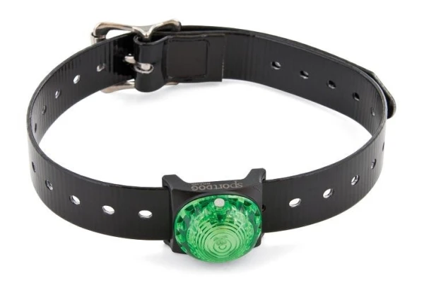 SportDOG Locator Beacon - GREEN