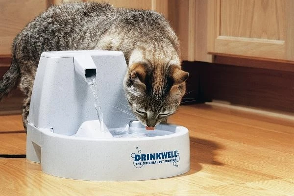 Drinkwell® Original Pet Fountain (FCBREEU20)