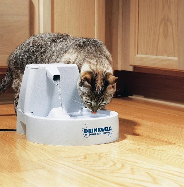 Drinkwell® Original Pet Fountain (FCBREEU20)