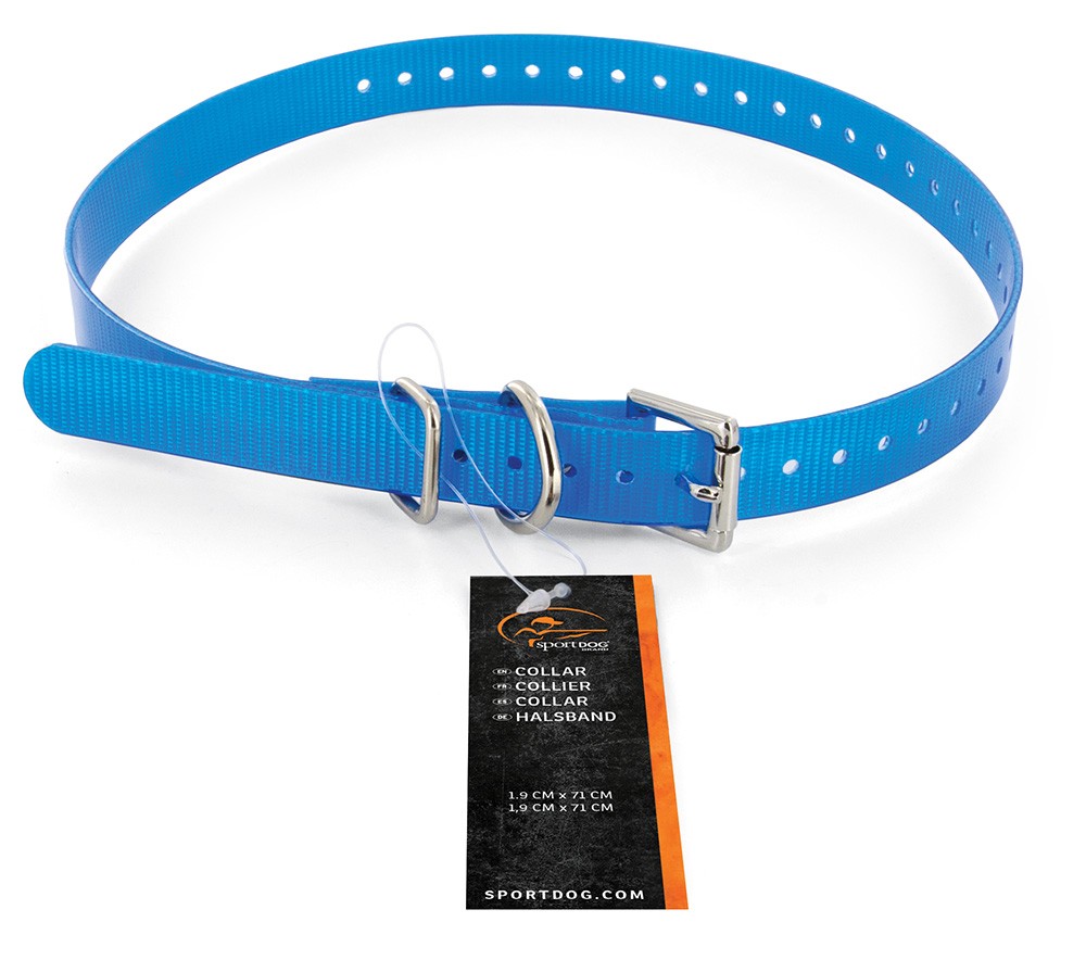 SportDOG Collar /Blue/