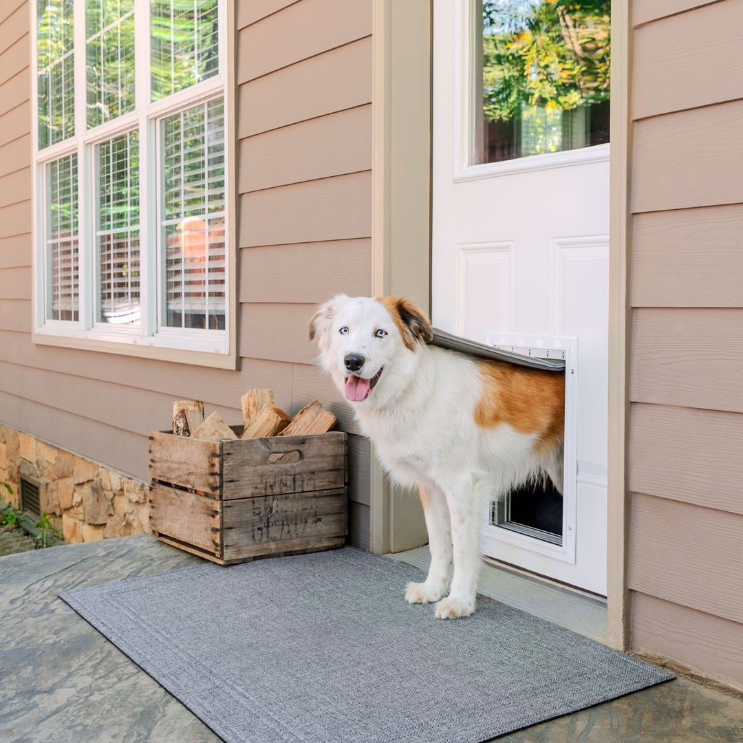 PetSafe HŐSZIGETELT KUTYAAJTÓ - Alumínium keretes - NAGYMÉRETŰ /Lengőajtó: 26cm  X  41,5cm/ Extreme Weather Aluminum Door