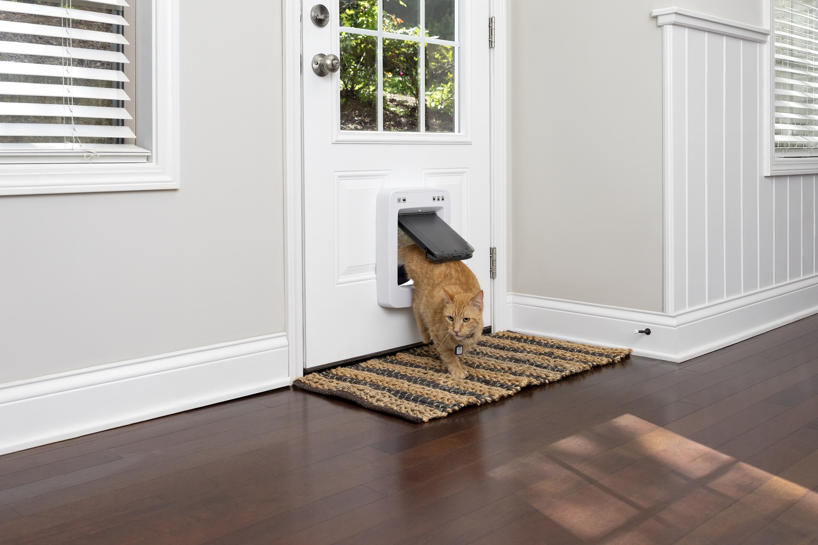 PetSafe SmartDoor Connected Kutya Macskaajtó - Közepes méretű - Lengőajtó mérete: 18cm X 20cm