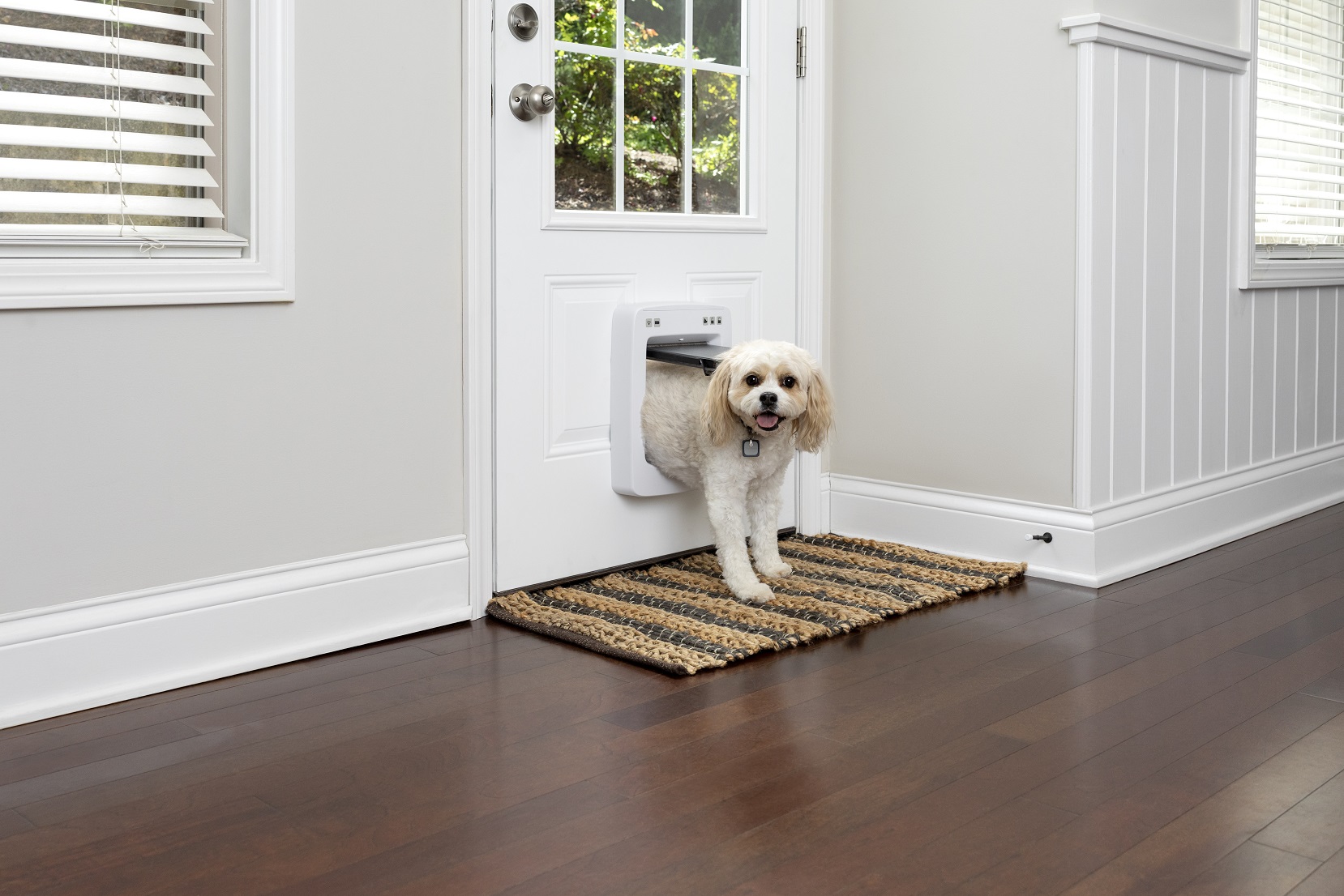 PetSafe SmartDoor Connected Kutya Macskaajtó - Közepes méretű - Lengőajtó mérete: 18cm X 20cm