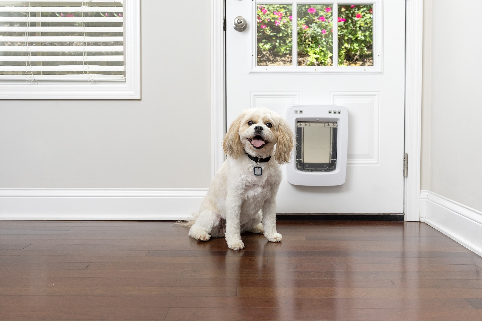 PetSafe SmartDoor Connected Kutya Macskaajtó - Közepes méretű - Lengőajtó mérete: 18cm X 20cm