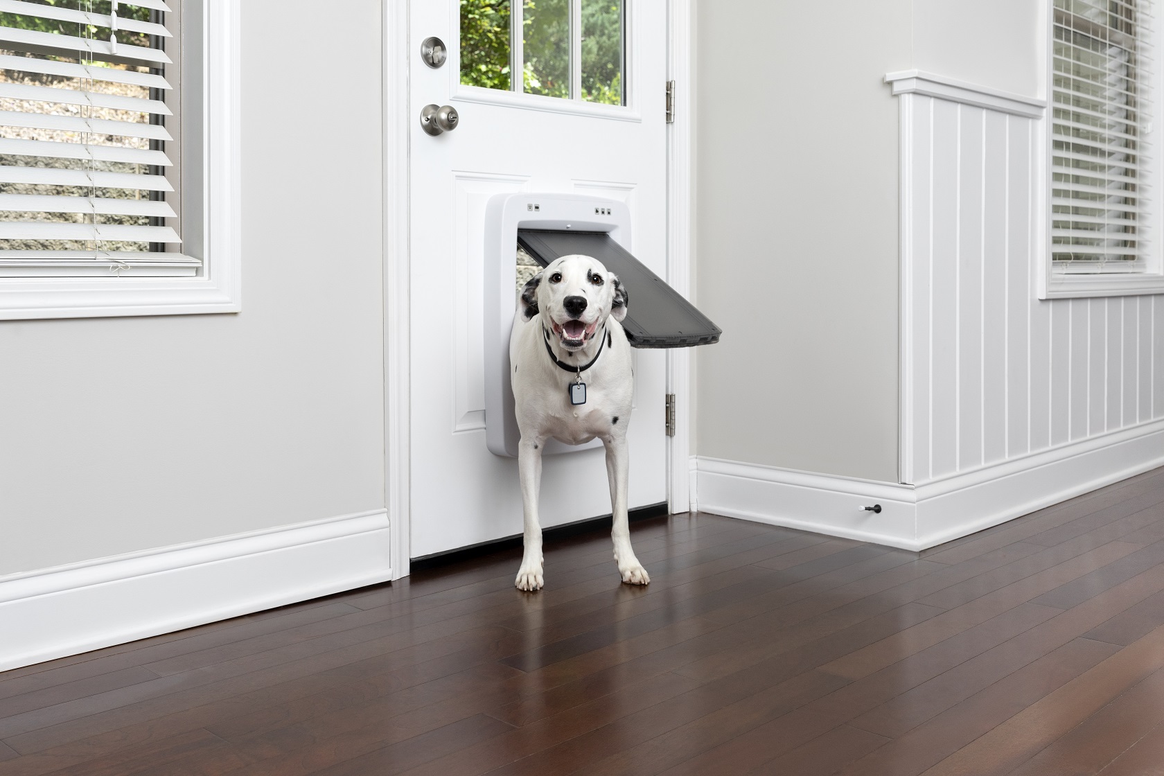 PetSafe SmartDoor Connected Kutyaajtó - Nagyméretű - Lengőajtó mérete: 30cm X 40cm