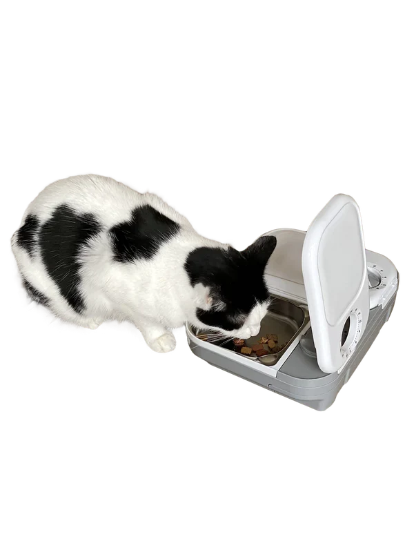 Closer Pets C200 Pet Feeder with Stailess Steel Bowl