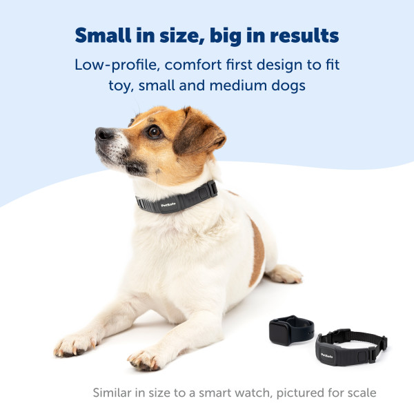  PetSafe NanoBark™ Collar