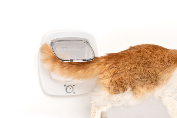 PetSafe Big Cat Flap