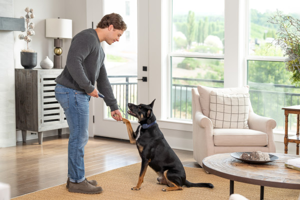 PetSafe 90 MÉTERES  Basic Elektromos Kiképző Nyakörv