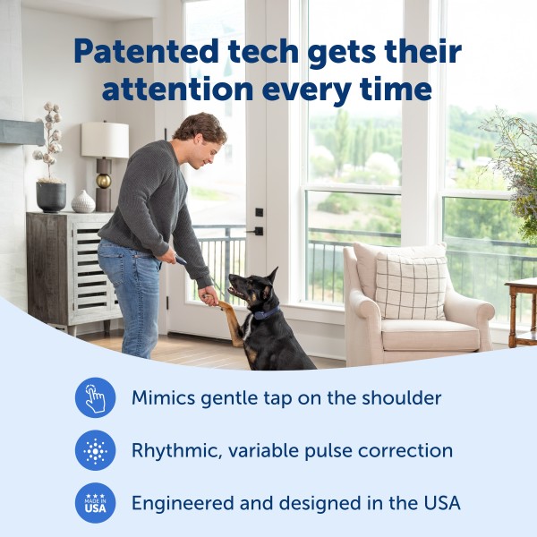 PetSafe 90 MÉTERES  Basic Elektromos Kiképző Nyakörv