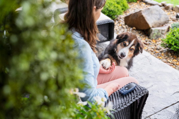 PetSafe 300 MÉTERES  Core Elektromos Kiképző Nyakörv