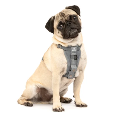 Kurgo Tru-Fit Smart Harness, Enhanced Strength, Charcoal, XS