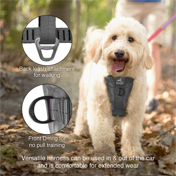 Kurgo Smart Tru-Fit - XS - Töréstesztelt Autós Kutyahám - megnövelt szilárdságú - Szürke