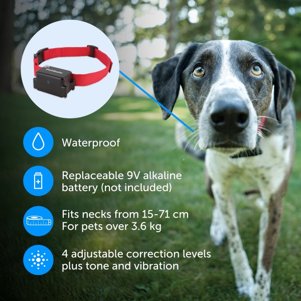 2 Kutyára  PetSafe kutyakerítés NAGYTESTŰ kutyáknak