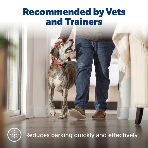 PetSafe Premium Ugatásgátló Nyakörv. /Impulzus/ PBC19-10765