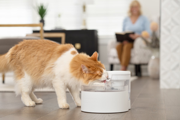 PetSafe® Outlast™  Kisállat Önitató 1.7 literes