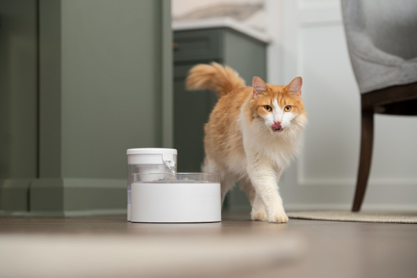 PetSafe® Outlast™  Kisállat Önitató 1.7 literes