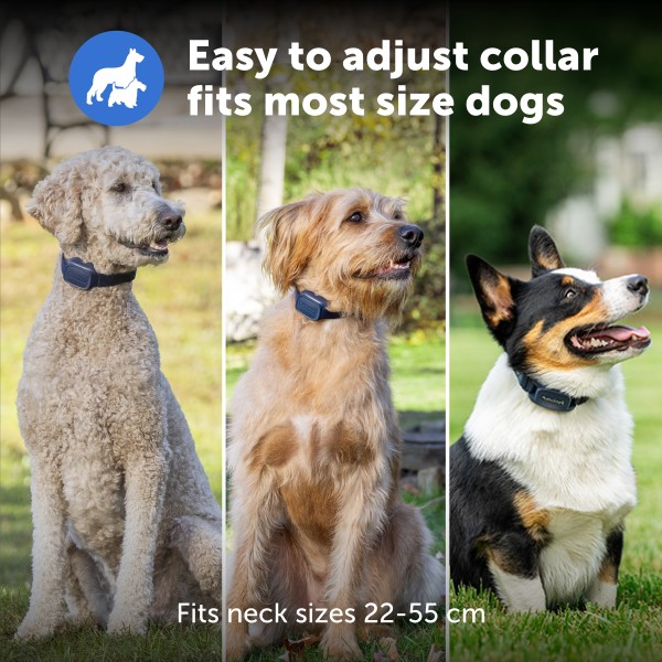 PetSafe Pro Kiegészítő Plusz Nyakörv