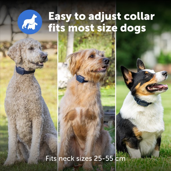 PetSafe Core Kiegészítő Plusz Nyakörv