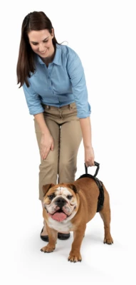 PetSafe CareLift™ Rear Support Harness -M