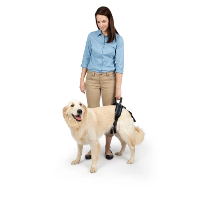 PetSafe CareLift™ Rear Support Harness -L