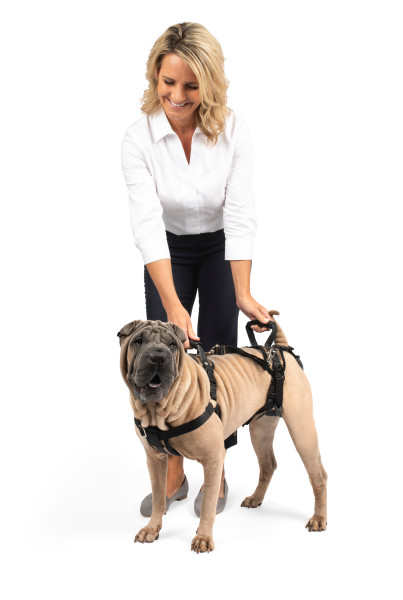 PetSafe CareLift™ Support Harness -M