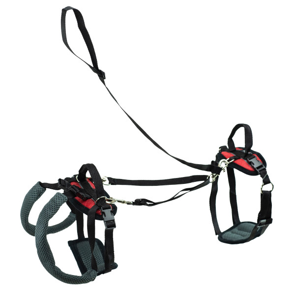 PetSafe CareLift™ Support Harness -M
