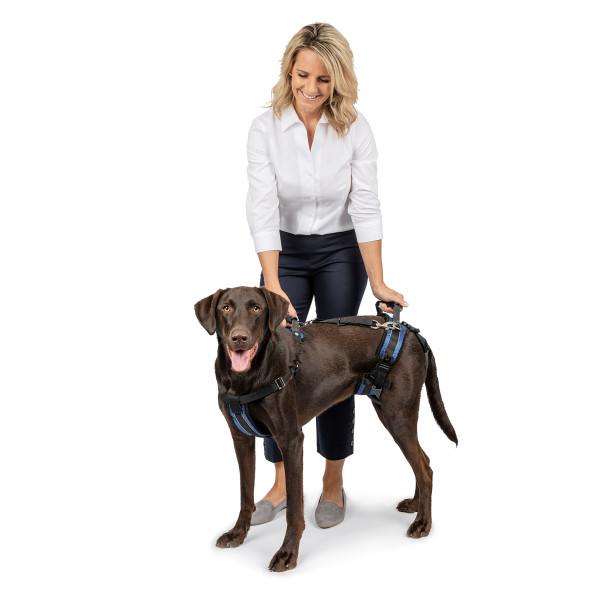 PetSafe CareLift™ Support Harness -L