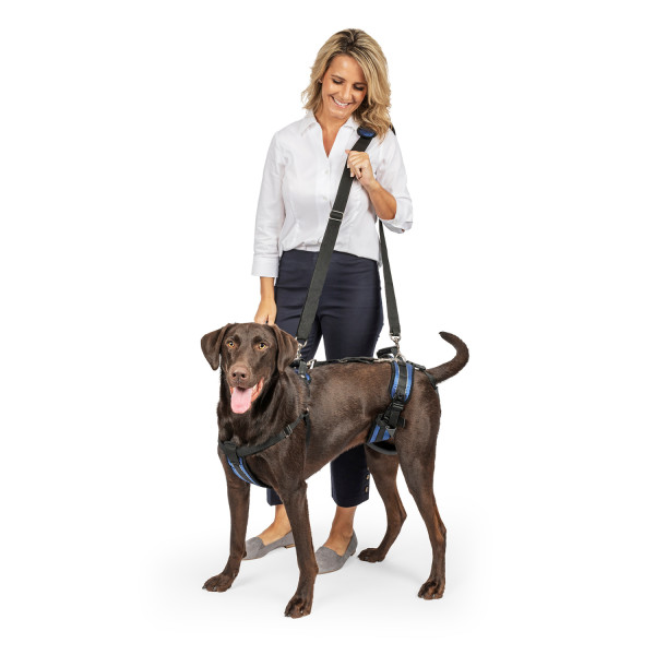 PetSafe CareLift™ Support Harness -L