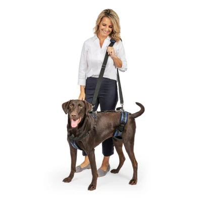 PetSafe CareLift™ Support Harness -L