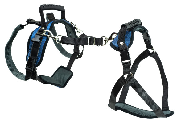 PetSafe CareLift™ Support Harness -L