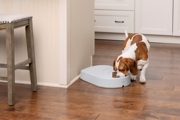 PetSafe® 5 ADAGOS ÖNETETŐ