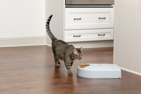 PetSafe® 5 ADAGOS ÖNETETŐ