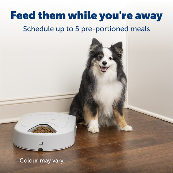 PetSafe® 5 ADAGOS ÖNETETŐ