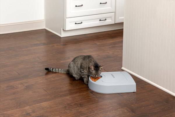 PetSafe® 5 ADAGOS ÖNETETŐ