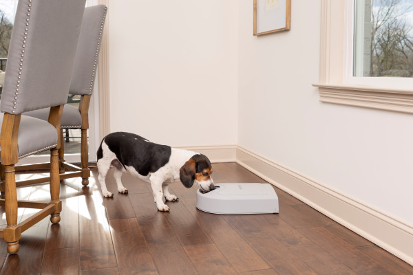PetSafe® 5 ADAGOS ÖNETETŐ