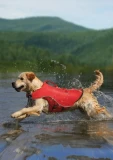 Kurgo Surf N Turf L Dog Life Jacket L
