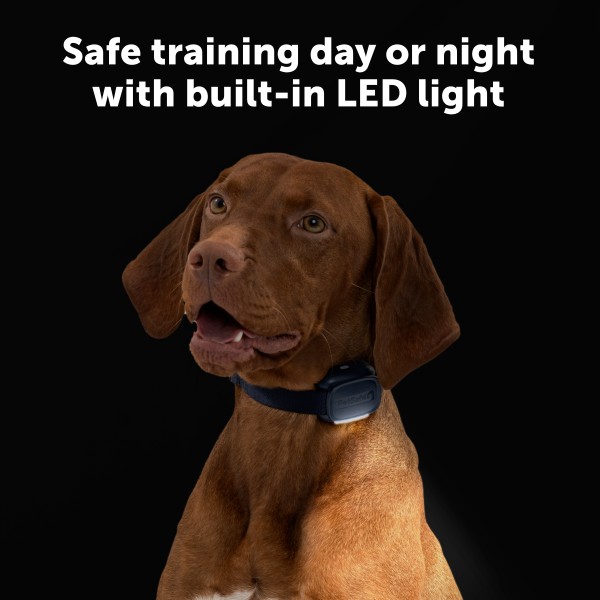 PetSafe 300 MÉTERES  Core Elektromos Kiképző Nyakörv