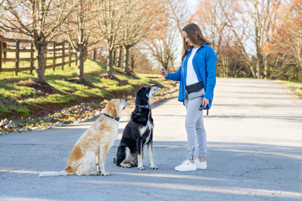 PetSafe 300 MÉTERES  Pro Elektromos Kiképző Nyakörv