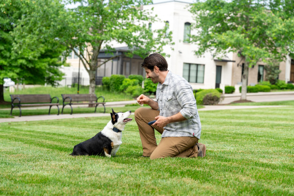 PetSafe 300 MÉTERES  Pro Elektromos Kiképző Nyakörv