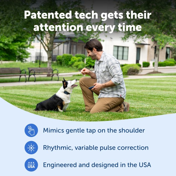 PetSafe 300 MÉTERES  Pro Elektromos Kiképző Nyakörv