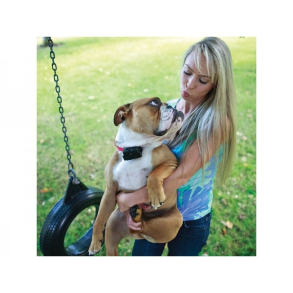 PetSafe Stubborn Dog In-Ground Fence System PRF-3004XW-20