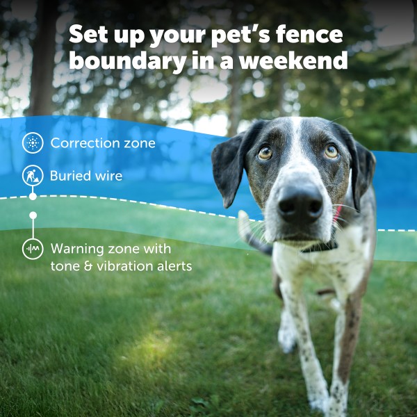 PetSafe 2 Dogs Stubborn Dog In-Ground Fence System Combo PRF-3004-XW-201