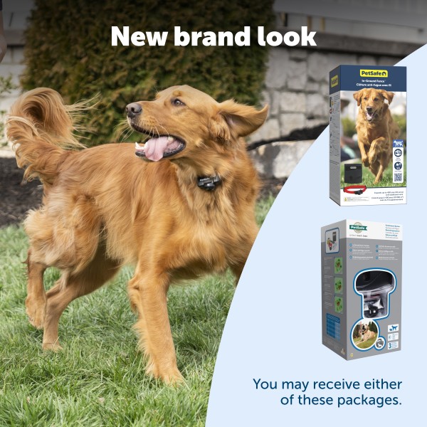 PetSafe 2 Dogs In-Ground Radio Fence