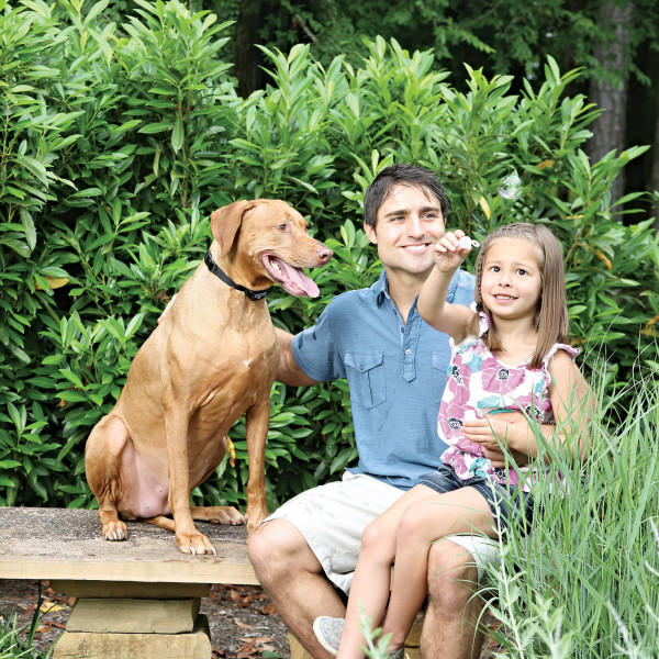 PetSafe  Rechargable In-Ground Pet Fencing System