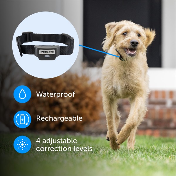 PetSafe  Rechargable In-Ground Pet Fencing System