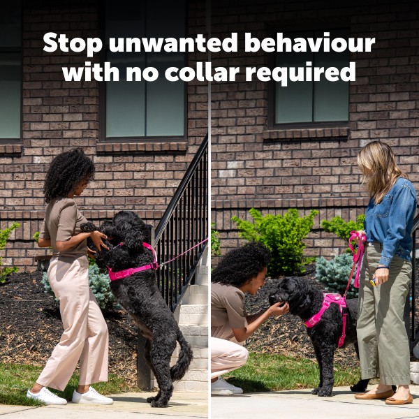 Ultrahangos kutya kiképző - PetSafe