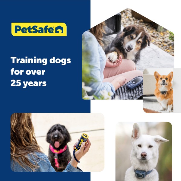 Ultrahangos kutya kiképző - PetSafe