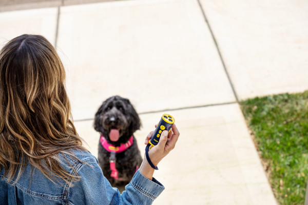 Ultrahangos kutya kiképző - PetSafe