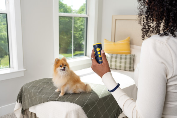 Ultrahangos kutya kiképző - PetSafe